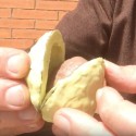 Come copiare e riprodurre in poco tempo un oggetto con la gomma siliconica plasmabile rapida
